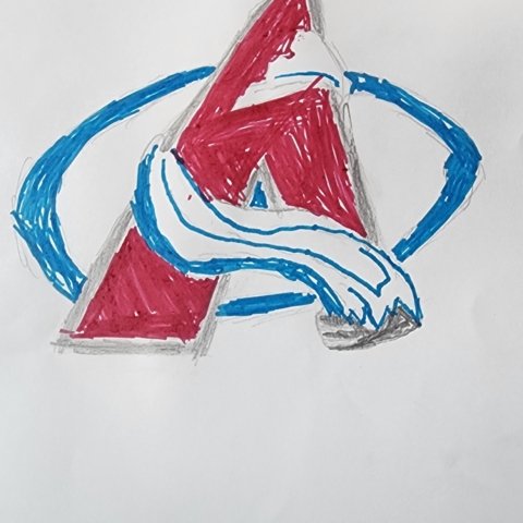 The Amazing Colorado Avalanche, Winston Semko, Parker, Colorado, Age 11