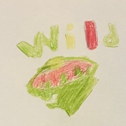Wild logo, Jason Seo, Age:8, peninsula OH