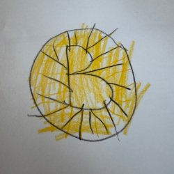 Boston Bruins, Duxbury MA, Age 6
