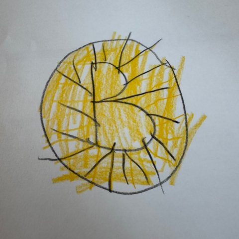 Boston Bruins, Duxbury MA, Age 6