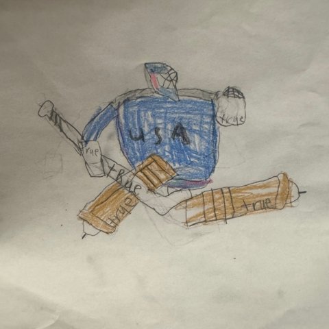 True USA Goalie