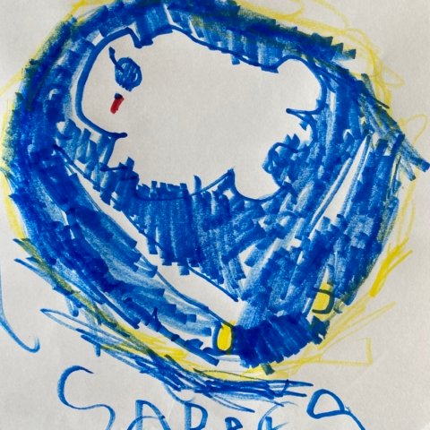 Let’s Go Buffalo, Callahan Moser , Age 5 , Burlington VT