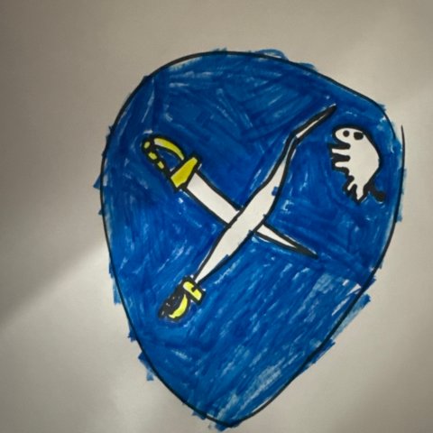 Let’s Go Buffalo! Micah Age 7 Lakewood, NY