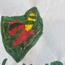 Go Wild! Emmitt Age 7 MN