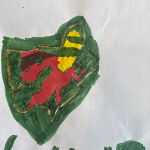 Go Wild! Emmitt Age 7 MN