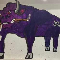 Lone Star Brahmas, Keller TX, 11
