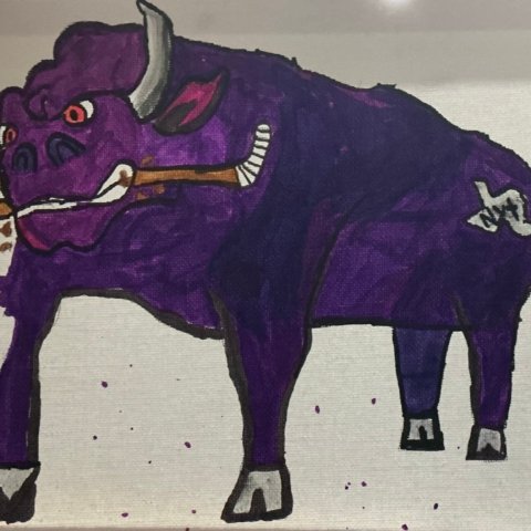 Lone Star Brahmas, Keller TX, 11