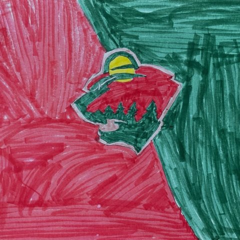 Minnesota Wild, Round Rock, TX, 9 years