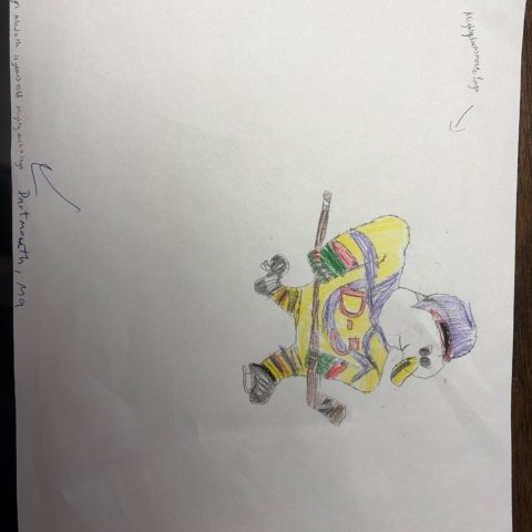Mighty ducks movie logo, By: Michaelyn hludzik, 11 years old, Dartmouth ma