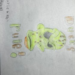 Anaheim Ducks Mascot rules!