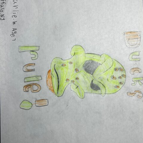 Anaheim Ducks Mascot rules!