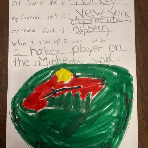 Minesotta Wild Dreams by Salvatore Lanciotti age 7 Kings Park NY