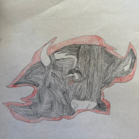 SabreHood! Rory K. Lake View, NY age:7