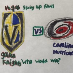 Domenic D, Stanley Cup Finals, Frisco TX, 8 years old
