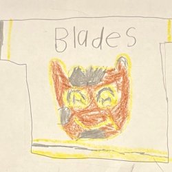 Go B’s!! Blades Jersey Joey: age 6