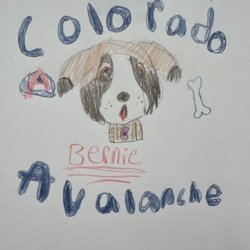 GO AVS! Lily H. Age 11 Loveland, CO