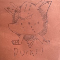 The Ducks