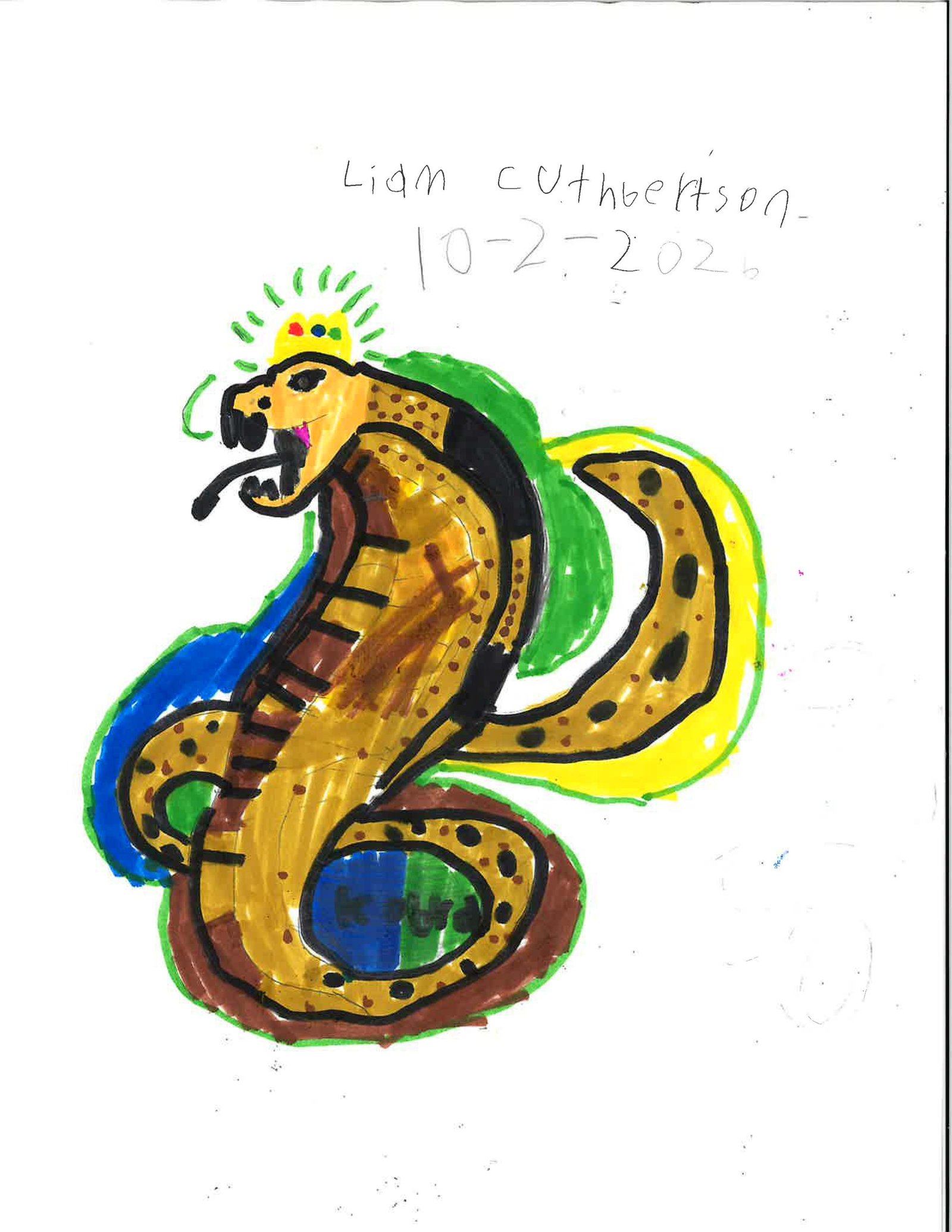 L3 Mites – Team Cobra. Liam Cuthbertson, 6yrs Old